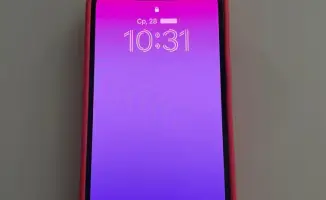 Интернет-мошенники на охоте: как не стать жертвой?