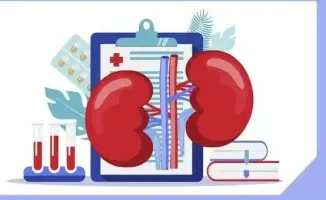 Почки на контроле: бесплатная диагностика в Караганде!