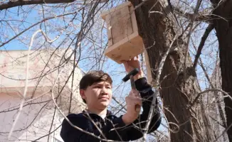 В Конаеве к Наурызу развернули зеленые крылья: акция «Табиғат қанатында – Taza Life»