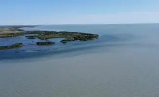 На Балхаше изучают состояние рыбных запасов