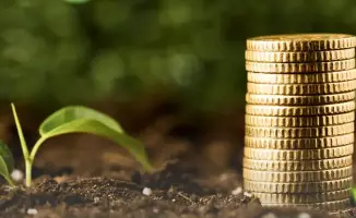 Доступ к раннему финансированию посевной ускорит подготовку аграриев к весенним полевым работам