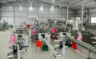 Социальная стабильность и экономическое развитие: как ТОО «Радуга» поддерживает семьи региона на протяжении 30 лет