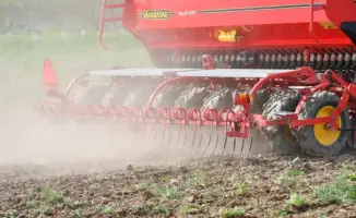 В Павлодарской области увеличат посевные площади до 1,7 млн га в 2026 году