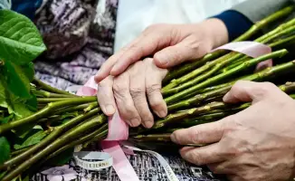 Поздравления женщин Восточно-Казахстанской области с Международным женским днём 8 Марта