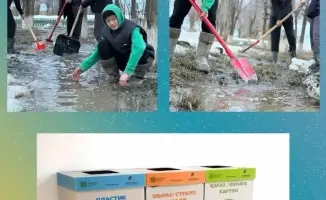 Сажая семена экологической культуры: как школьники формируют будущее нашей планеты