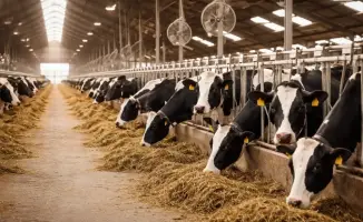 Новые ветеринарные станции в Восточно-Казахстанской области