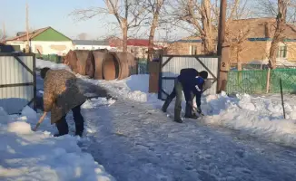 Снег тает в Карагандинской области риски подтоплений и советы по очистке территорий