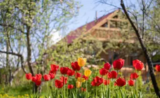 Влияние включения дачных массивов на развитие инфраструктуры Алматинской области