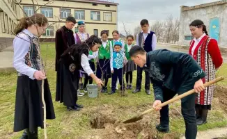Посадка саженцев в Туркестанской области образовательными организациями