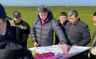 Сложная борьба с саранчой в Туркестанской области: последствия для сельского хозяйства