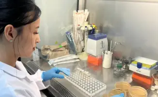 Kazakhstan Scientists Develop Plant-Based Supplement for Immune Support and Diabetes Prevention