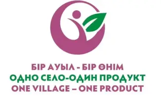 Поддержка ремесленников Карагандинской области: старт приёма заявок для участия в проекте 'Одно село — один продукт'