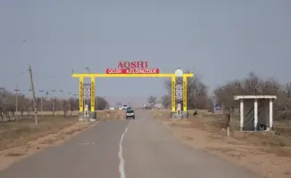 В Илийском районе высаживают 30 тысяч саженцев вдоль дороги