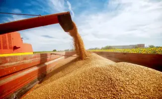 Высокий спрос на зерно от птицеводческих предприятий и реализация через электронные торги