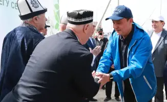 Общественное объединение для озеленения: в Жамбылской области высадили более 9 тысяч деревьев