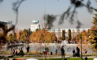 В Алматы определено 1150 торговых мест для продажи цветов к 8 Марта