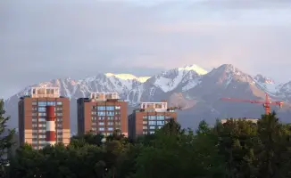 Весенняя дератизация в Алматы: меры по предотвращению инфекционных заболеваний и их влияние на общественные территории