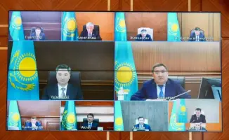 Масштабная высадка саженцев в ВКО: как это изменит экосистему региона к 2027 году