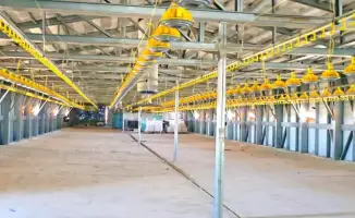 Строительство птицефабрики в Кызылординской области на 3,5 тыс тонн мяса птицы в год