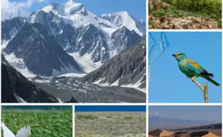 Новая концепция биоразнообразия для Казахстана