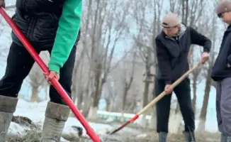 Экологическая инициатива школьников из Алгабаса приводит к образовательным грантам и активному спасению природы