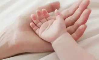 Туркестанская область: колыбель новых жизней в сердце Казахстана