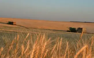 Весенние посевы в Туркестанской области активизировались