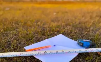 В Алматинской области возвращены 150 тыс. га земель в госсобственность после судебного разбирательства