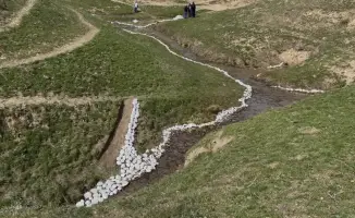 ТУРКЕСТАН: ЭКОЛОГИЧЕСКАЯ АКЦИЯ «МӨЛДІР БҰЛАҚ» ПРИВЕЛА К УЛУЧШЕНИЮ КАЧЕСТВА ВОДНЫХ РЕСУРСОВ