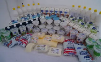 Строительство молочно-товарной фермы и завода по переработке молока в Бурабайском районе: новые рабочие места и налоговые поступления