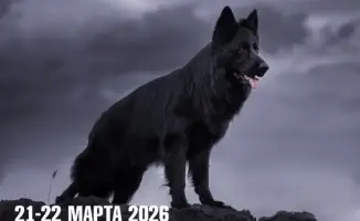 Фотовыставка и выставка собак в Караганде 21 22 марта