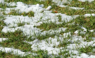 Весенний каприз: Астана и Алматы готовятся к танцу температур и гололедицы 27-29 марта