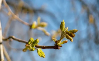 Синоптики Казгидромета прогнозируют теплую погоду в Астане и Алматы в первые дни апреля, с температурами до +27 градусов. В частности, в столице ожидается ясная погода, а в Алматы — солнечные дни с повышением температуры.