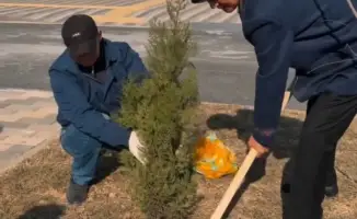 Саженцы дружбы: родители высаживают зелень в дворах «Келешек мектептері»