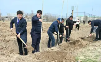 Создание зеленого пояса в Жетысае: высадка 5 тысяч саженцев как шаг к экологическому обновлению региона