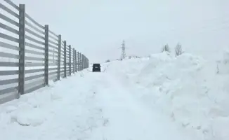 Инновации в дорожной безопасности: новая снегозащитная система на трассе «Астана – Кокшетау»