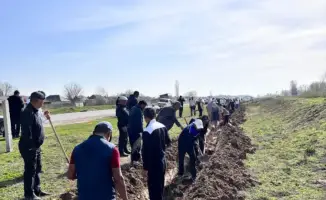 ТУРКЕСТАН: В ЖЕТЫСАЕ 500 РУК СОЗДАЛИ ЗЕЛЕНЫЙ ОАЗИС В АКЦИИ «МӨЛДІР БҰЛАҚ»