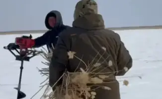 Зимняя аэрация: как спасти рыбу под льдом?