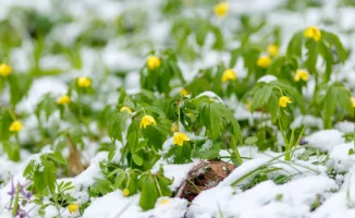 Синоптики Казгидромета предупреждают о мощном циклонe, который принесет снег и дождь в Казахстан 9 марта.