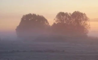 Штормовые предупреждения в Астане и 12 областях Казахстана: синоптики прогнозируют ухудшение погоды 21 марта