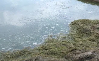 Специальная группа МЧС готова к борьбе с паводками в Казахстане