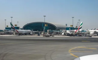 Возвращение домой: Казахстанцы, как птицы, вернувшиеся из далекого восточного гнезда