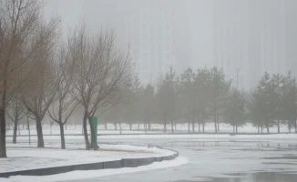 Весенний вальс погоды: Астана и Алматы готовятся к танцу туманов и тепла 18-20 марта