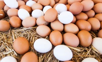 В Казахстане одобрены новые меры: экспорт говядины и импорт яиц под контролем Межведомственной комиссии