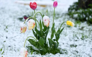 Казахстан снова в морозах: температура опустится до -25°C