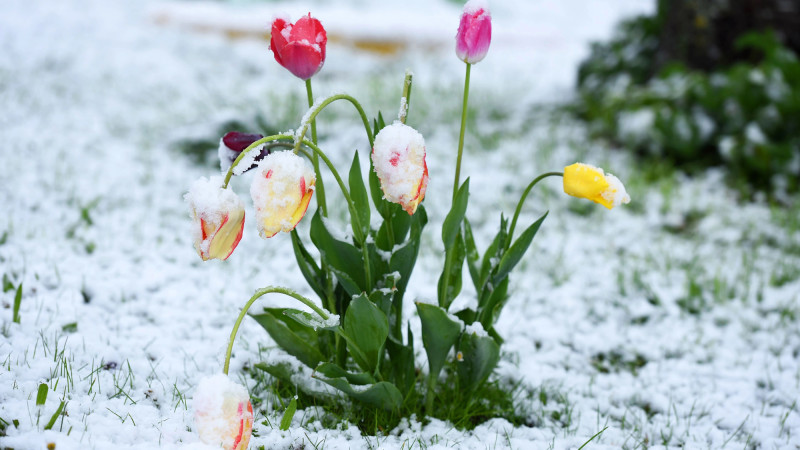 Казахстан снова в морозах: температура опустится до -25°C {city2}