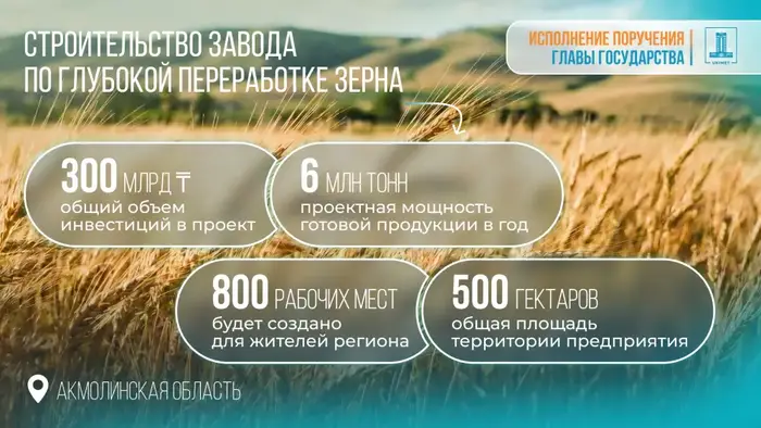 Правительством Казахстана одобрено Соглашение об инвестициях: в Акмолинской области построят завод по глубокой переработке зерна (2)