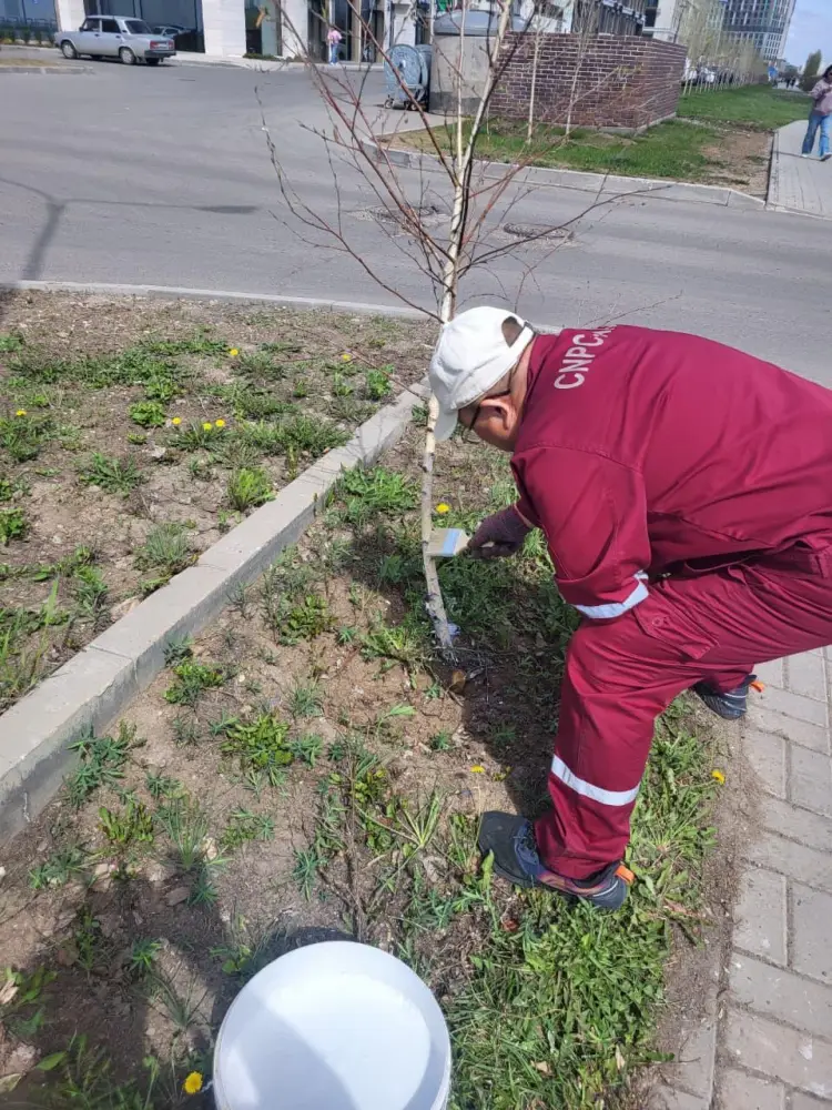 В Астане прошёл субботник: сотрудники ТРЦ высадили 350 деревьев в рамках акции «Таза Қазақстан» {city2}