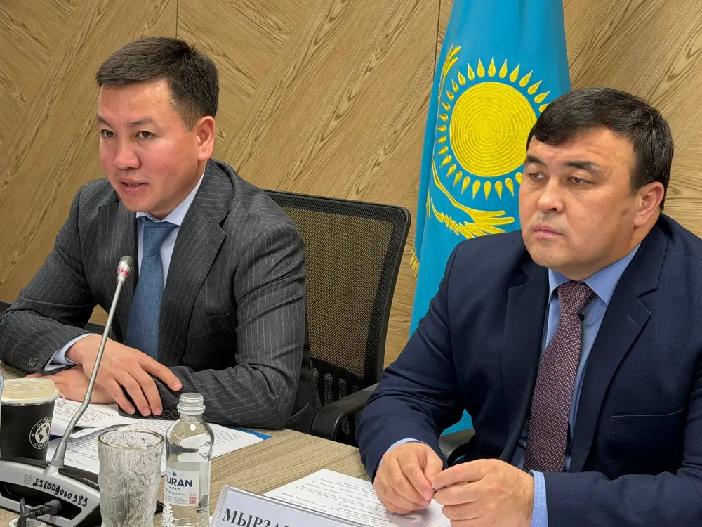 Контроль за ценообразованием в Казахстане сокращает посредничество и внедряет информационные системы {city2}
