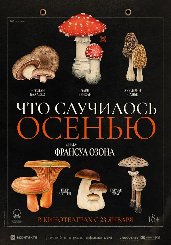 Фильмы, музыка и игротека: «Франкофонная весна» возвращается в Караганду (3)